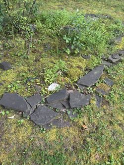 Landscaping Flagstone 
