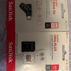 SanDisk Portable Memory Devices (2) 