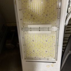 Gavita Horticultural Light!!! 