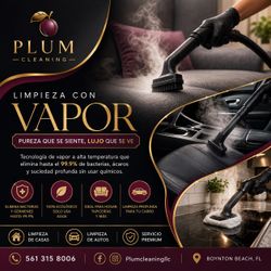 Plum Cleaning LLC