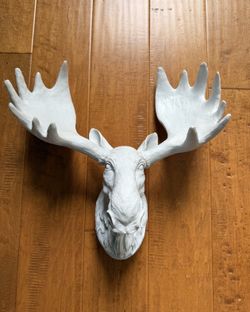 Decorative Moose Head