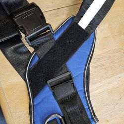 Dog Harness
