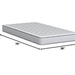 Toddler/Twin Mattress & Protector 