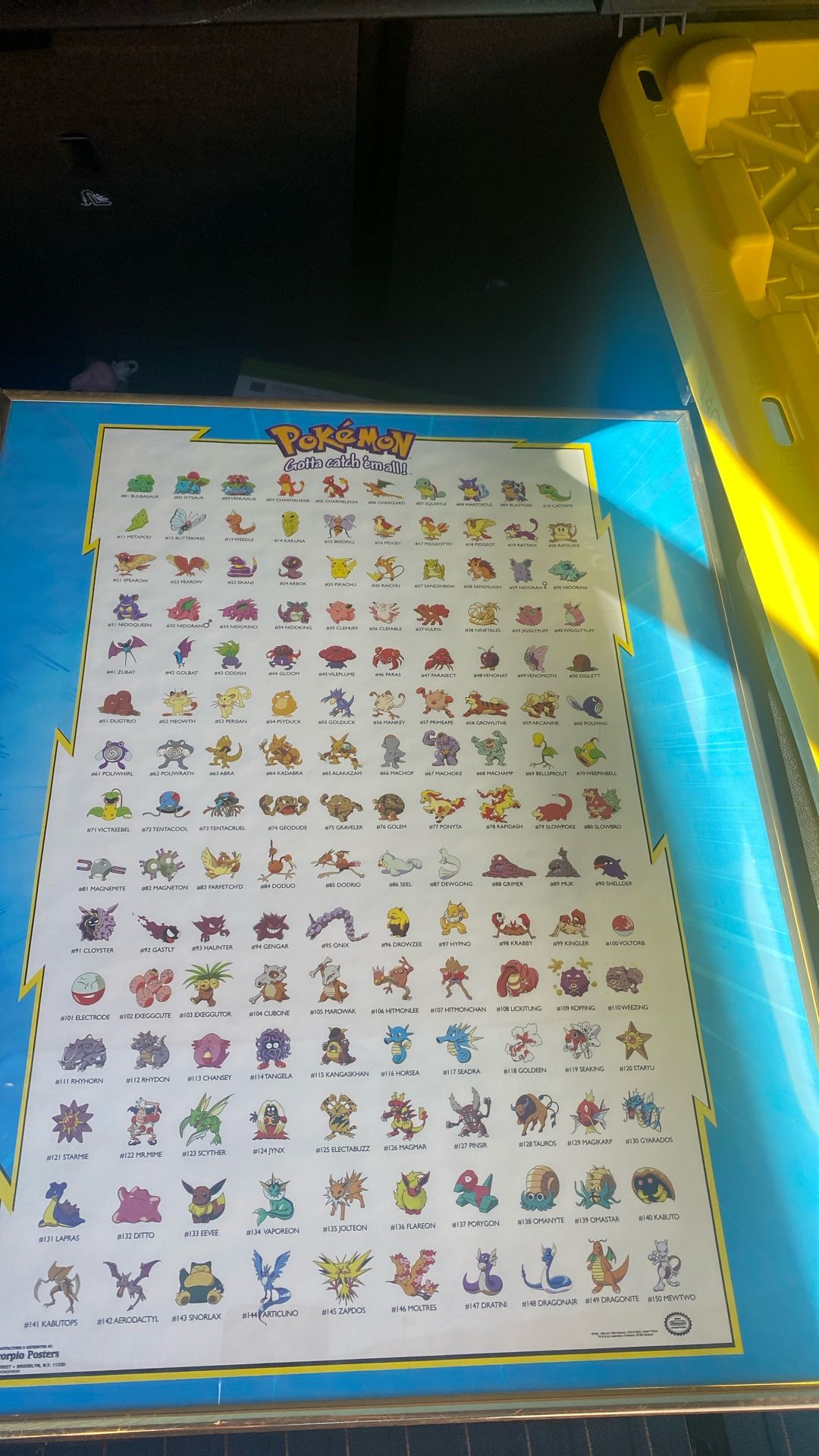 POKÉMON POSTER 