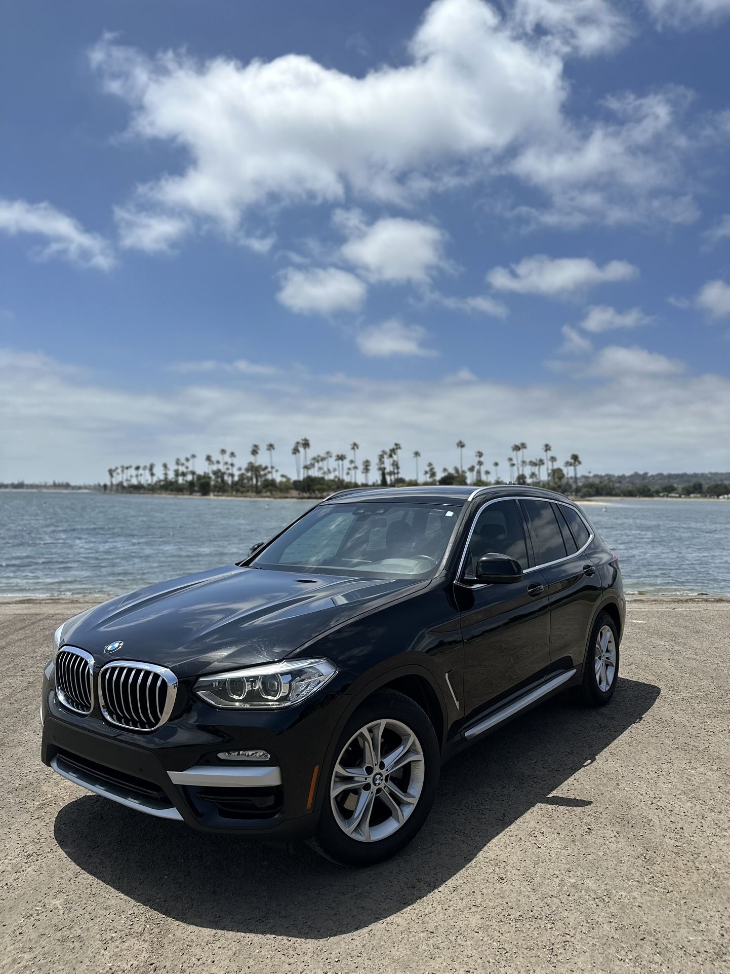 2019 BMW X3