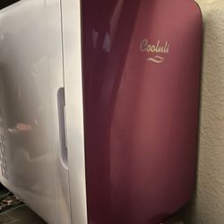 Mini Fridge  HALF PRICE!!! 20$