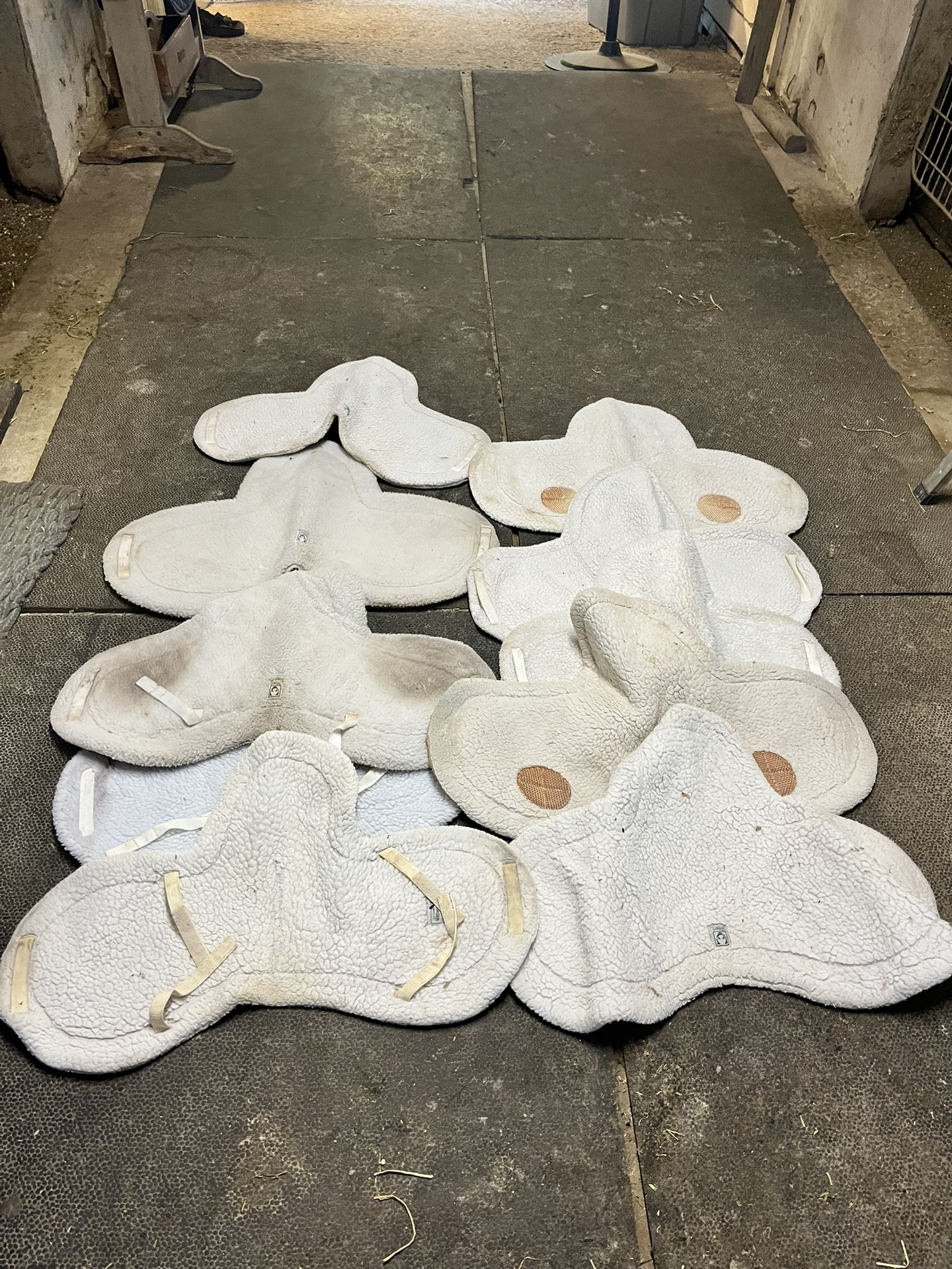 Horse Saddle Show Pads
