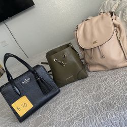 Bags & Purse