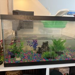 Fish tanks And Accessories 