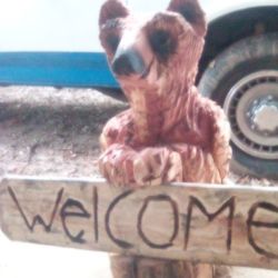 Chainsaw Carved Bear
