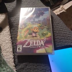 Nintendo Switch Zelda-Echos of Wisdom