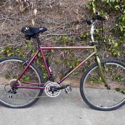 Specialized Rockhopper Comp Bike Bicycle 