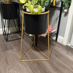 Plant Stand