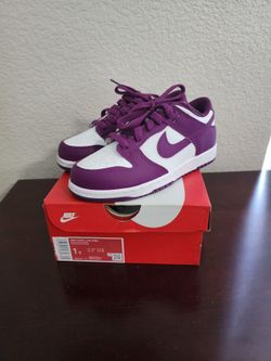 Nike Dunk Low 1y