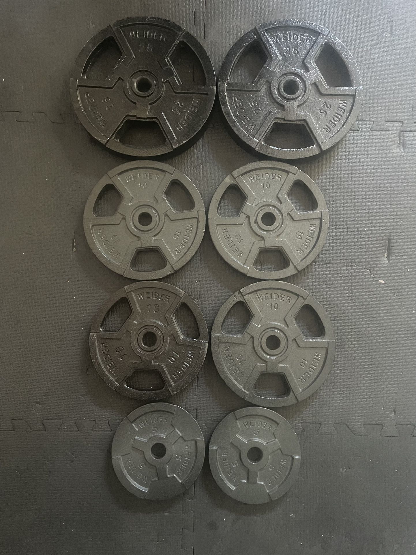 Weider Weight Plates 