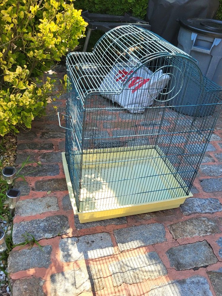 Bird Cage
