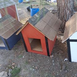 Dog House 