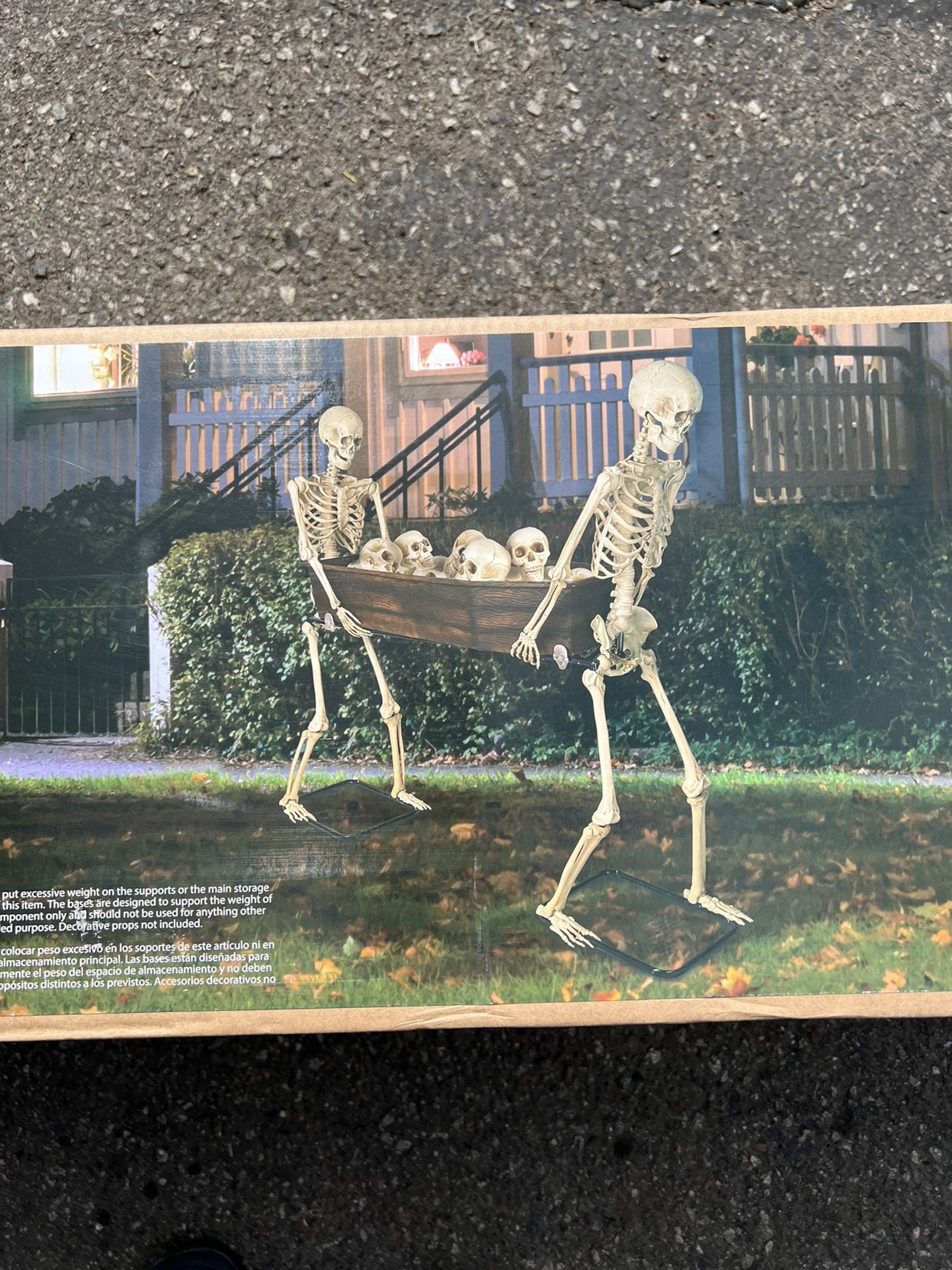 Halloween Skeletons Carrying Coffin
