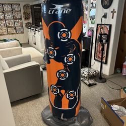 Kids Punching Bag