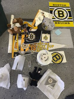 Boston bruins 
