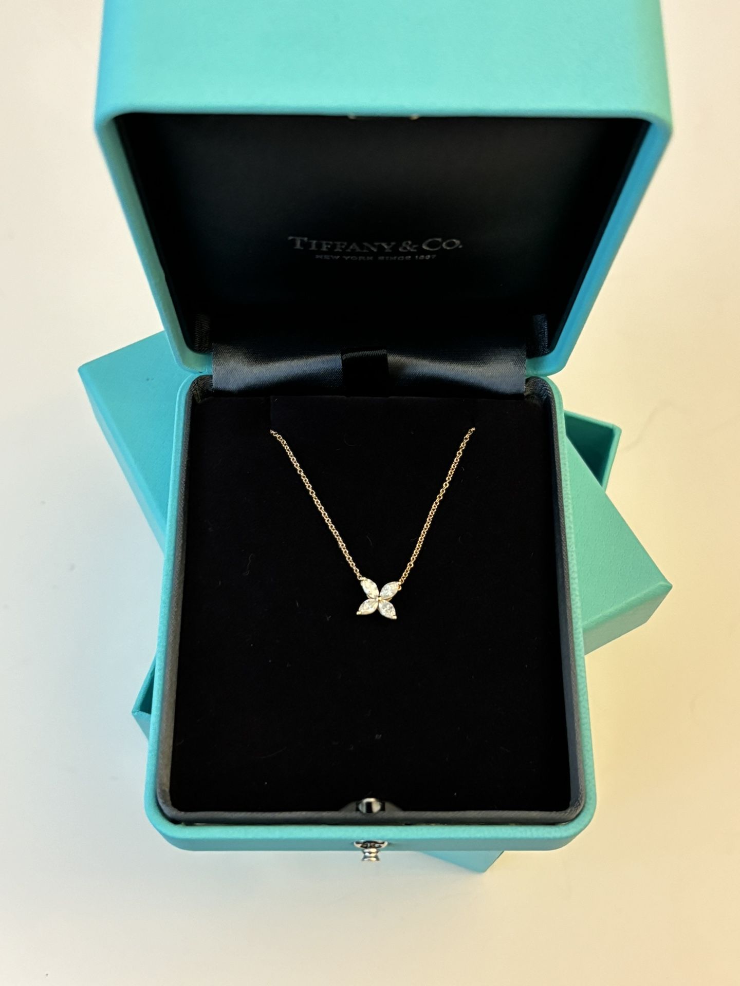 Tiffany & Co. Diamond Butterfly Necklace – Authentic + Box