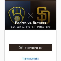 4 Seats In The Shade 😎 