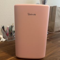 Pink Mini Fridge