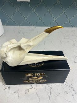 Bird Skull Jewellery Keeper Decorative Figurine
