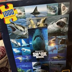 Shark Puzzle 
