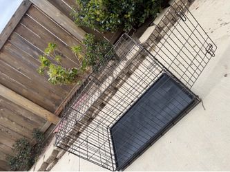 Dog gate