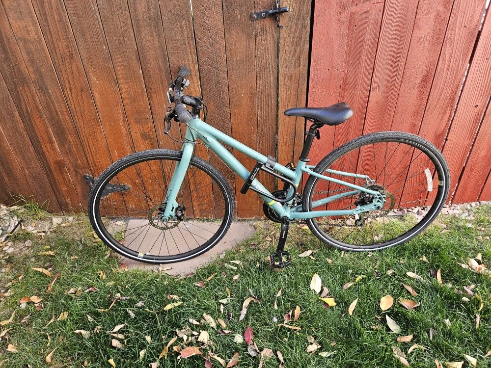 Small REI city 1.1 City Bike