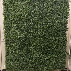 Greenery Wall