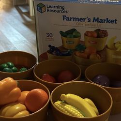 Learning Resources Farmer’s Market Color Sorting Set 
