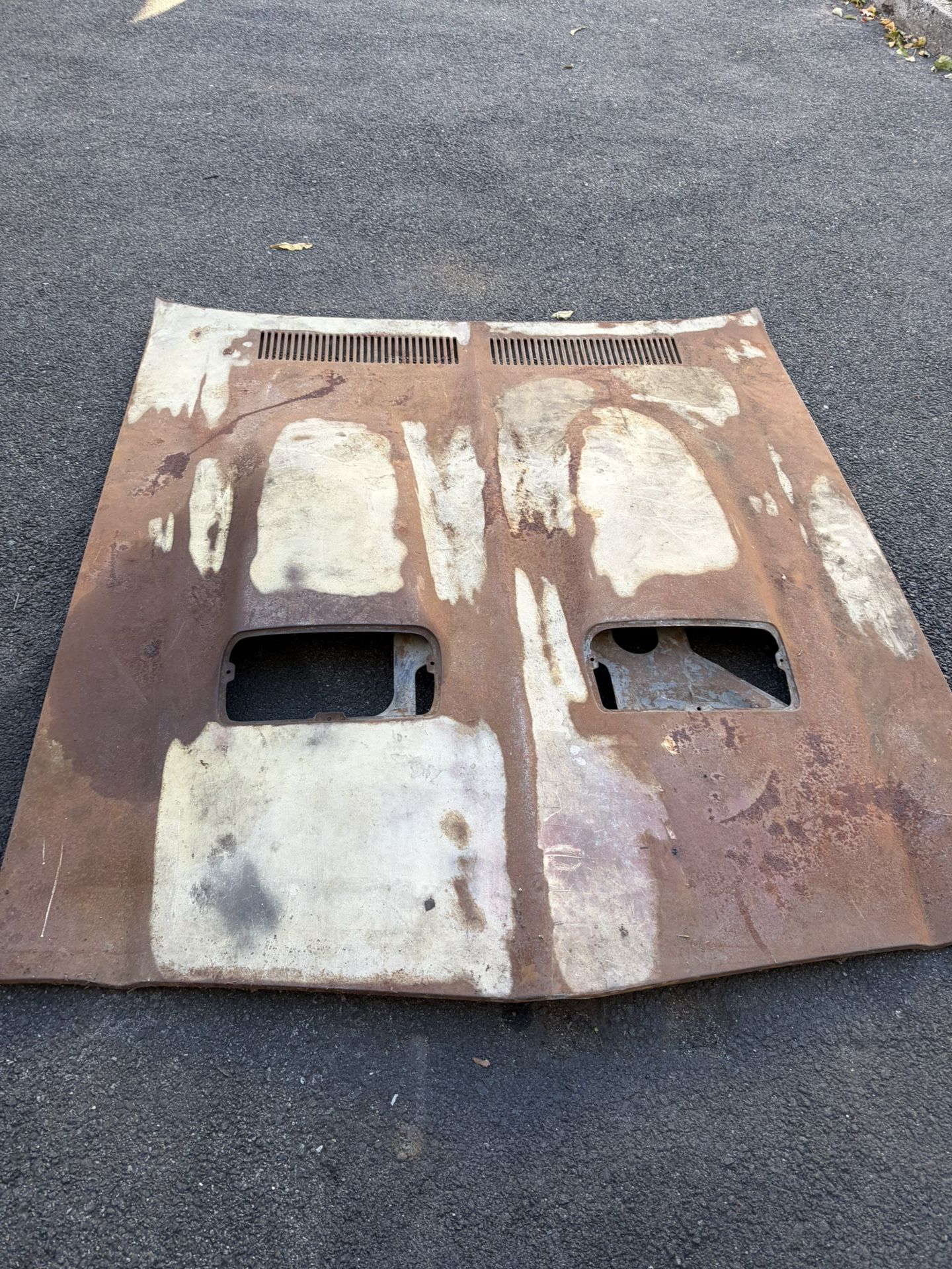 1969 Firebird Hood Only