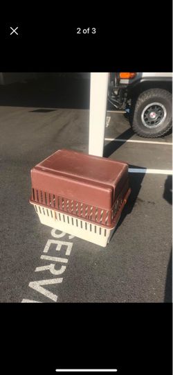 large case