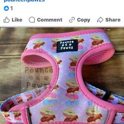 Huge Lot Of Harnesses, Retractable Leashes And Dog Beds