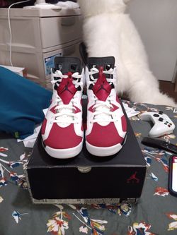Jordan 6 Retro Carmine Size 12