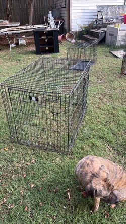 Extra large dog crate