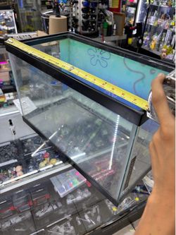10 Gallon Glass Aquarium Tank