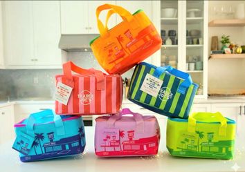 Trader Joe’s Mini Insulated Lunch Bags for Sale! 🌈