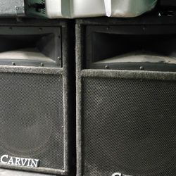 CARVIN Speaker S