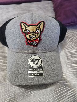 Chihuahuas Baseball Cap