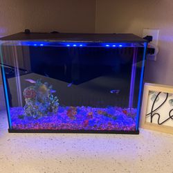 Fish Tank - Fully Functional