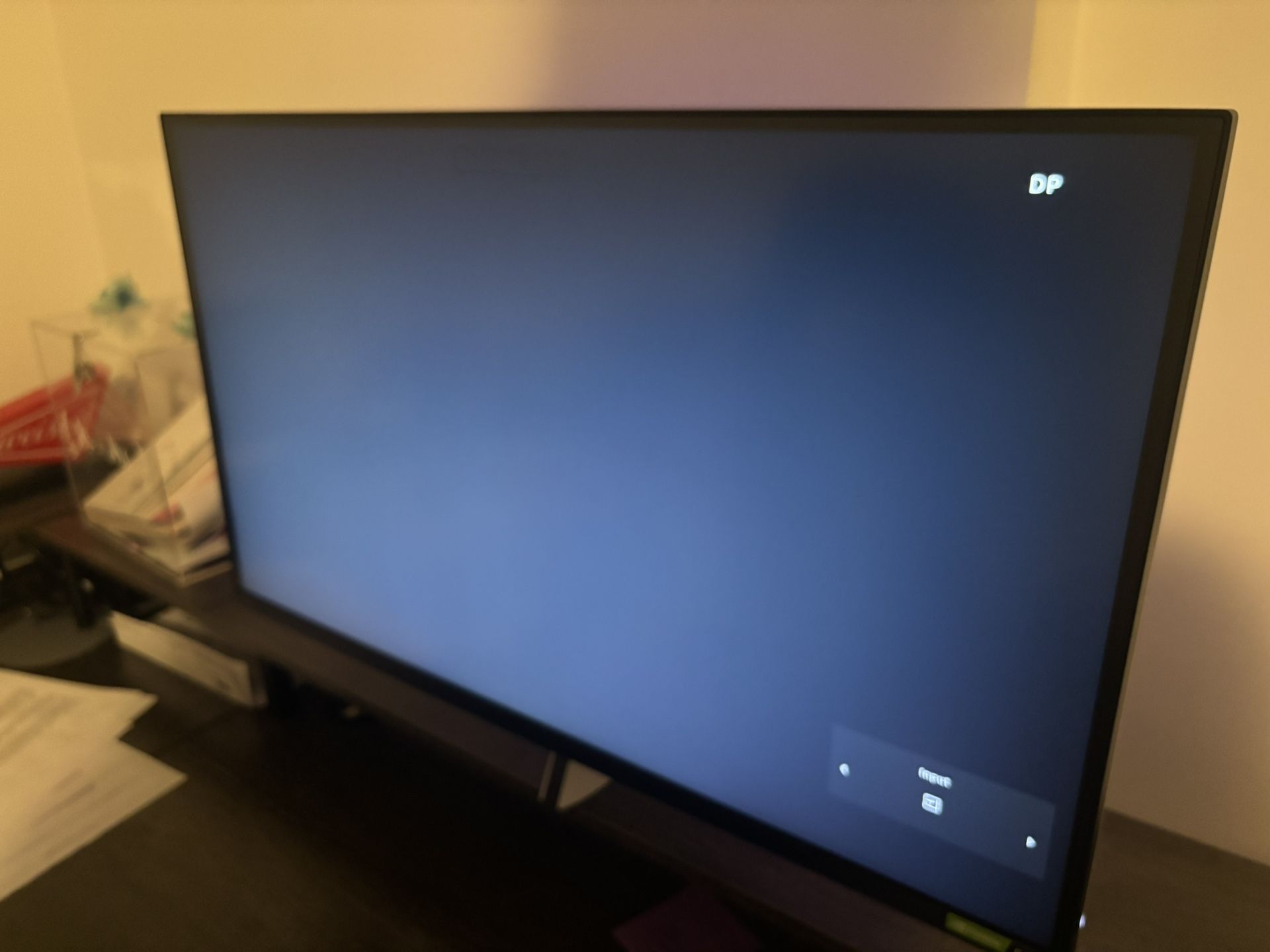Sony Gaming Monitor