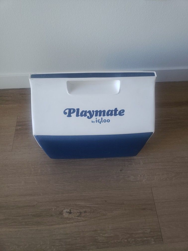 Igloo Ice Chest