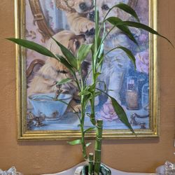 Bamboo Arrangement