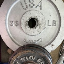 Weights, Curl Bar, Bar