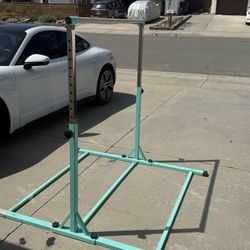 Free Kids gymnastics bar 