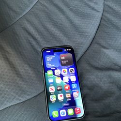 iPhone for mini bike