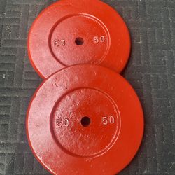 Pair Of 50 LB Standard Weights 1” Hole